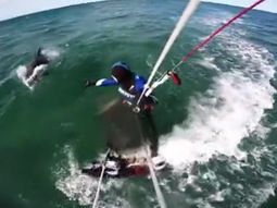 VIDEO: lo acompañó una pareja de delfines