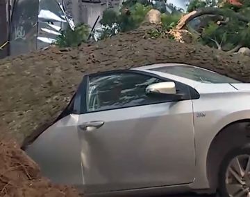 Enorme árbol se desplomó en Palermo y aplastó dos autos