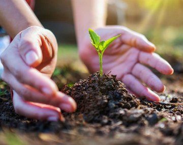 Los fertilizantes podrían ser nocivos para la vida y para el medio ambiente