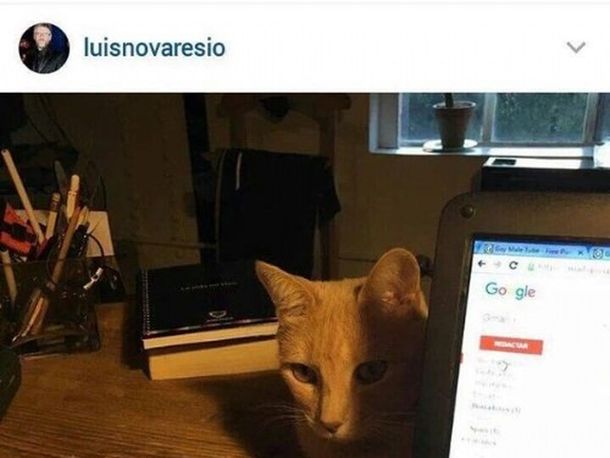 Luis Novaresio dijo lo que más le dolió de la foto del gato con porno gay