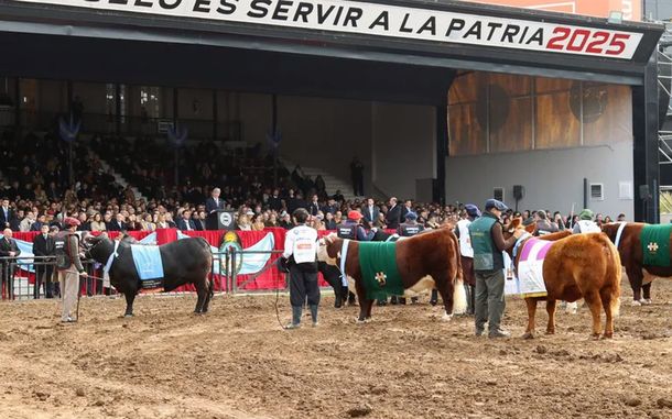 Cómo quedan las retenciones tras los anuncios de Javier Milei en La Rural