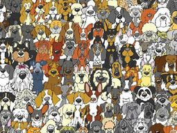 volvio el panda: encontralo entre todos estos perros volvio el panda: encontralo entre todos estos perros