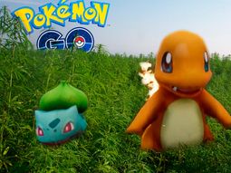 un chico jugaba al pokemon go y descubrio una plantacion de cannabis un chico jugaba al pokemon go y descubrio una plantacion de cannabis