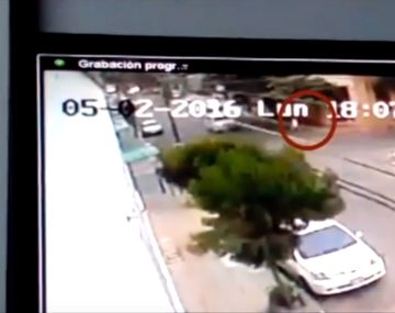 Creyeron que había muerto atropellada