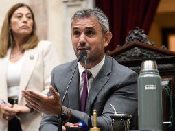 martin menem amenazo a los diputados que terminan sus mandatos para que devuelvan sus despachos martin menem amenazo a los diputados que terminan sus mandatos para que devuelvan sus despachos