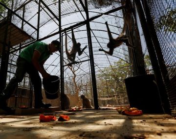 Triste: más de 50 animales del zoológico de Caracas murieron de hambre