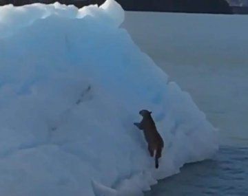 Cristina Kirchner no pudo evitar comentar sobre una situación peculiar en Santa Cruz