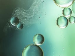 El negocio del hidrógeno verde generó una diferencia de criterio entre Ancap y el MIEM. El negocio del hidrógeno verde generó una diferencia de criterio entre Ancap y el MIEM.