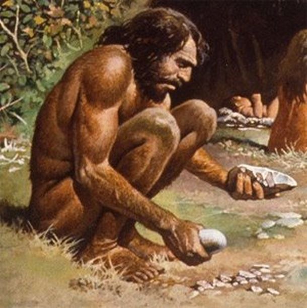 Homo-sapiens