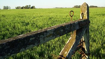 el campo para una semana en reclamo de un cambio en la politica agraria el campo para una semana en reclamo de un cambio en la politica agraria