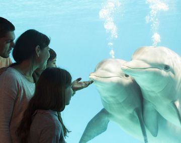 Una opción educativa y al aire libre para los chicos en Semana Santa