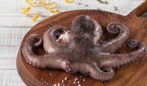 Pulpo