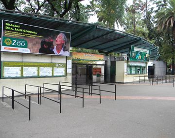 Tras la muerte de Winner