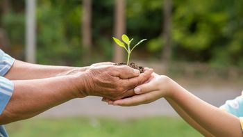 El cuidado del ambiente es un tema que esta instalado en agenda y las empresas deben incorporar y tener en cuenta sus impactos. El cuidado del ambiente es un tema que esta instalado en agenda y las empresas deben incorporar y tener en cuenta sus impactos.