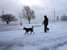 Estados Unidos: cinco muertes por una tormenta invernal