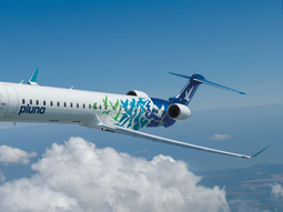 El Estado uruguayo terminará de pagar la deuda de Pluna este mes. El Estado uruguayo terminará de pagar la deuda de Pluna este mes.