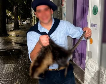 Dos jóvenes de 18 años que le pegaban patadas a una nutriahasta matarla.