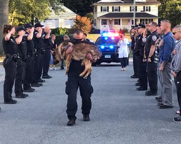 La conmovedora despedida a un perro policía con una enfermedad terminal