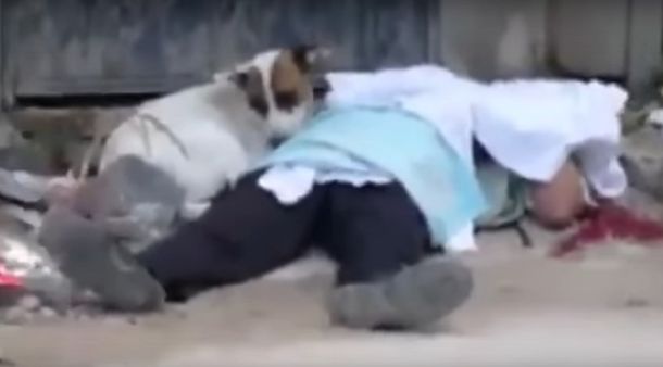 Un perro lloró al lado de su dueño asesinado