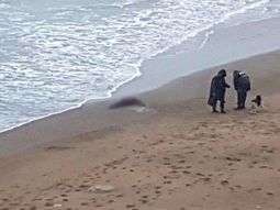 El cuerpo de la mujer fue encontrado en la costa El cuerpo de la mujer fue encontrado en la costa
