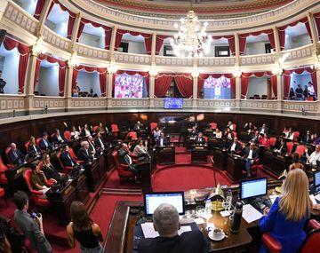 Provincia: el Senado aprobó la suspensión de las PASO