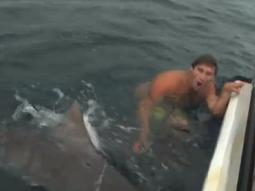 un pescador se salva de un tiburon por los pelos un pescador se salva de un tiburon por los pelos