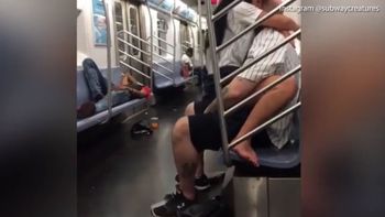 Tienen sexo en el subte adelante de todos Tienen sexo en el subte adelante de todos