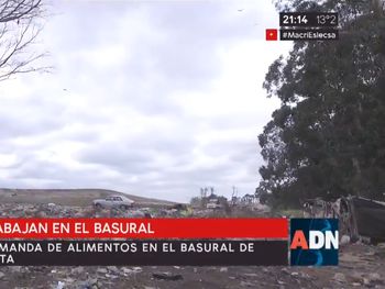 Así viven y trabajan en el basural del Mar del Plata
