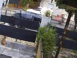 Le sacaron la licencia al motociclista que atropelló a un peatón cuando hacía willy