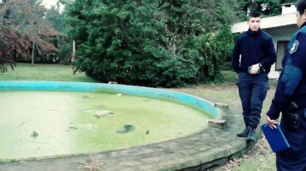 Conmoción en Pilar por la aparición de ocho perros muertos en una pileta