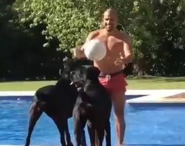 Sólo para distinguidos: Verón hace jugar ¡hasta a los perros!