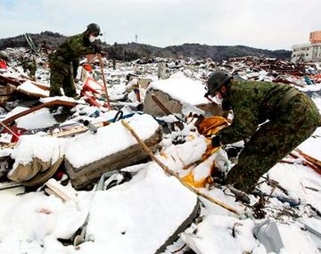 Japonnieve_efe