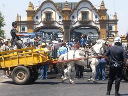 Cartoneros_na
