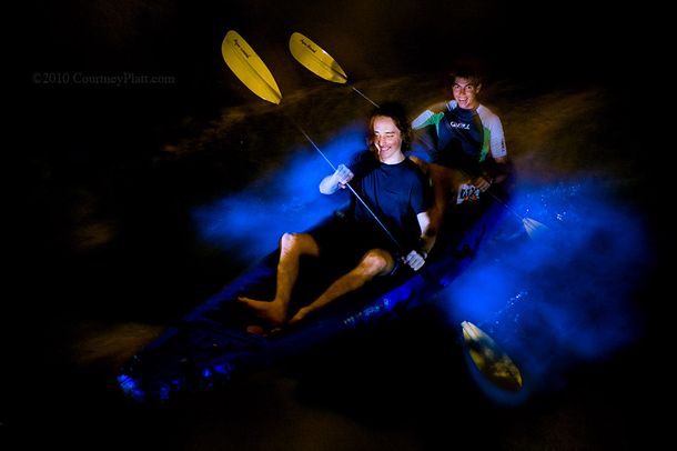 La excepcional laguna bioluminiscente de Puerto Rico se apagó