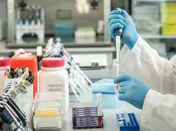 Las nuevas cepas de coronavirus en Argentina: ¿qué se sabe hasta ahora?