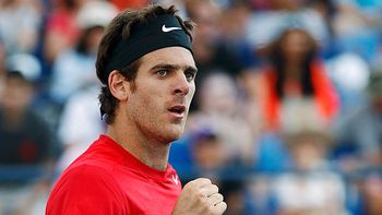 del potro confirmo que jugara la copa davis este mes del potro confirmo que jugara la copa davis este mes