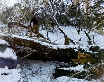 El Gobierno nacional montó un amplio operativo de asistencia en las ciudades, rutas y aeropuertos de la Patagonia afectados ante la emergencia climática por la ola polar.