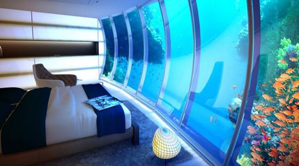 Así se verá la biodiversidad marina desde las habitaciones