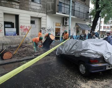 Todas las imágenes del temporal