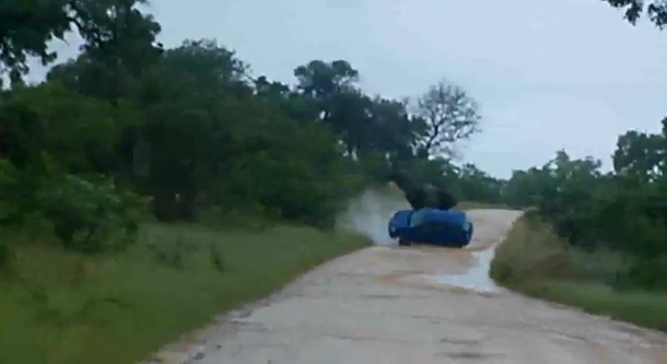 VIDEO: Un elefante enojado vuelca un auto con turistas