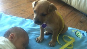 se muere de sueno, pero cuida el bebe se muere de sueno, pero cuida el bebe