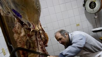 Carne JH 6505 Carne JH 6505