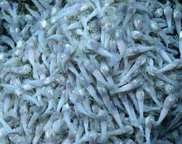 La NASA busca pruebas de vida extraterrestre