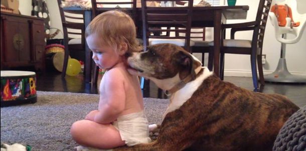 VIDEO: Un adorable perro da un baño a una bebé