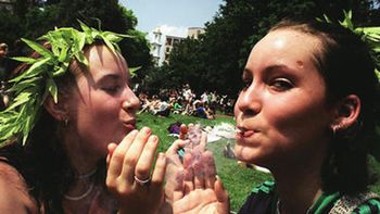 Fumar marihuana por placer ya es legal en la costa oeste de los Estados Unidos Fumar marihuana por placer ya es legal en la costa oeste de los Estados Unidos