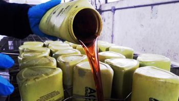 Hasta 2023, ALUR ya recicló más de 2,5 millones de litros de aceite de cocina usado. Hasta 2023, ALUR ya recicló más de 2,5 millones de litros de aceite de cocina usado.