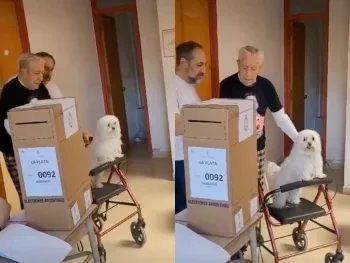 Balotaje entre Sergio Massa y Javier Milei: votó un hombre de 103 años
