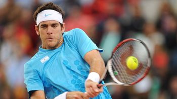 del potro, sobre la copa davis: debia tomar decisiones del potro, sobre la copa davis: debia tomar decisiones