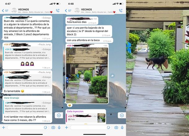 Denunciaron el robo de felpudos en un edificio pero el culpable es inimputable