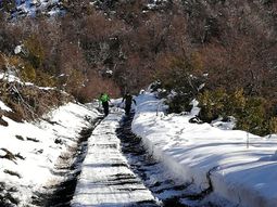 Ola de frío polar: alertas por nevadas y vientos fuertes en 5 provincias para hoy
